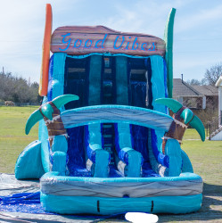 20' GOOD VIBES DUAL LANE WET/DRY SLIDE